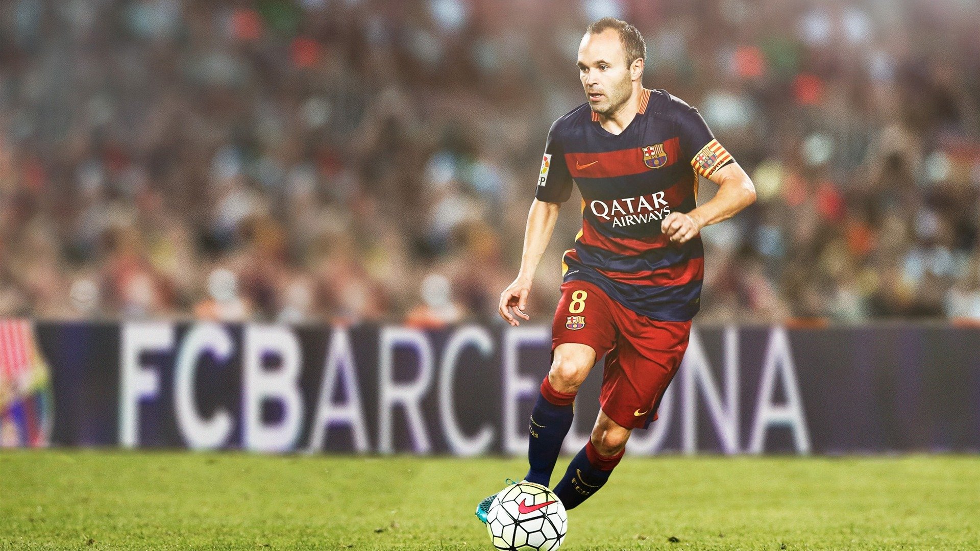 日本女泳队自由泳划频稳定，节奏精准，日本全浸自由泳